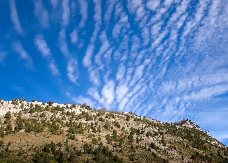 Pinar y cielo en el Embalse de Luna — Fotos de León